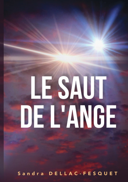 Le Saut de l'Ange Le Saut de l'Ange