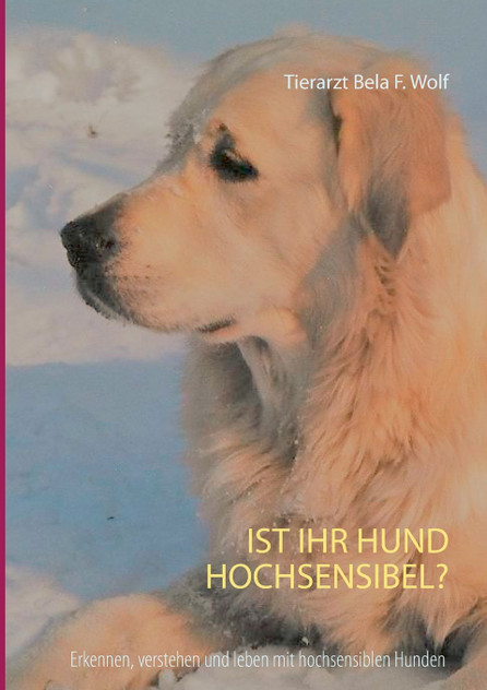 Ist Ihr Hund hochsensibel? Ist Ihr Hund hochsensibel?