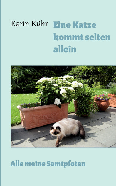 Eine Katze kommt selten allein Eine Katze kommt selten allein
