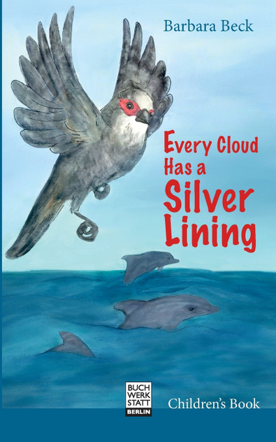 Every Cloud Has a Silver Lining Every Cloud Has a Silver Lining