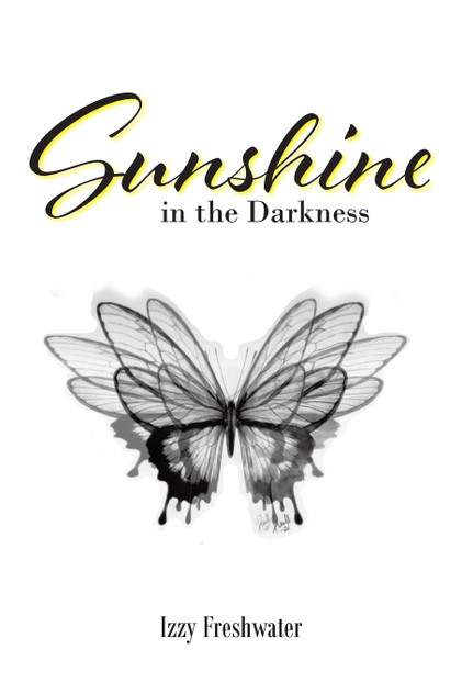 Sunshine In The Darkness Sunshine In The Darkness