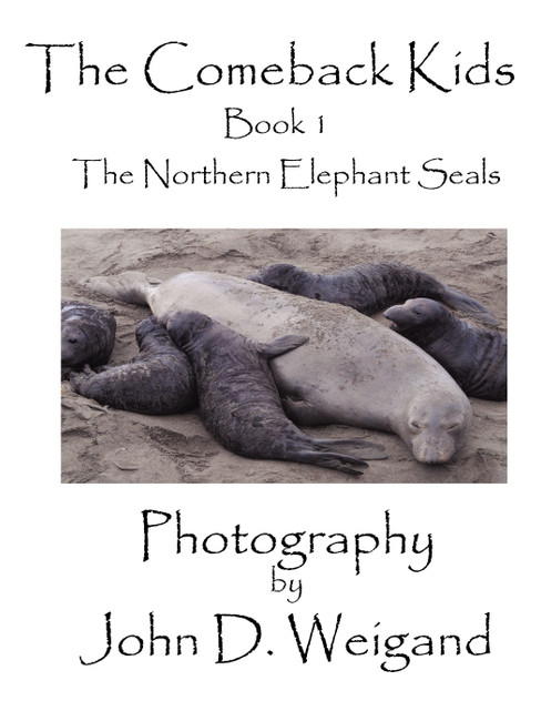 "The Comeback Kids" Book 1, The Northern Elephant Seals "The Comeback Kids" Book 1, The Northern Elephant Seals