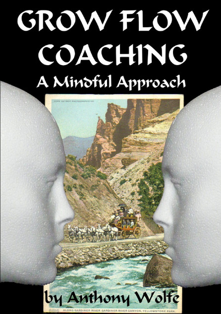 GROW FLOW Coaching GROW FLOW Coaching