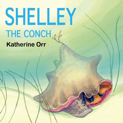 Shelley the Conch Shelley the Conch