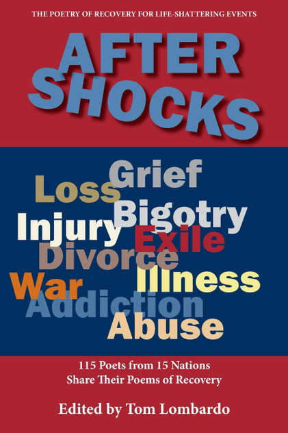 After Shocks After Shocks