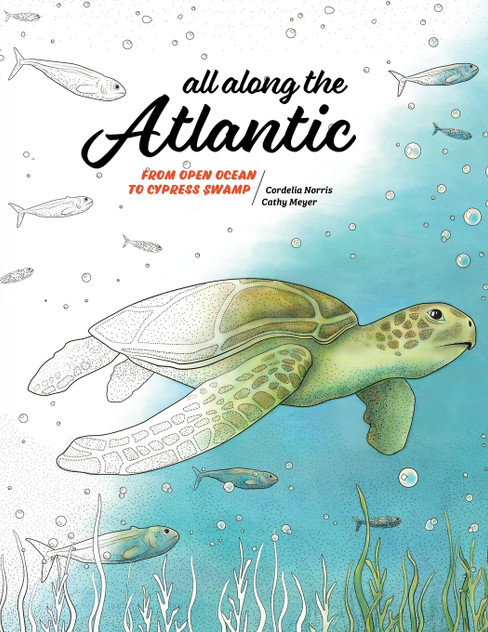 All Along the Atlantic All Along the Atlantic