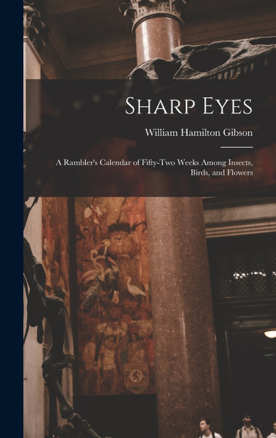 Sharp Eyes Sharp Eyes