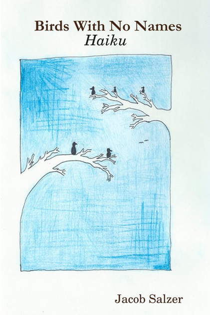 Birds With No Names Birds With No Names