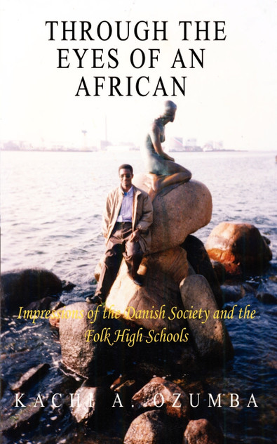 Through the Eyes of An African Through the Eyes of An African