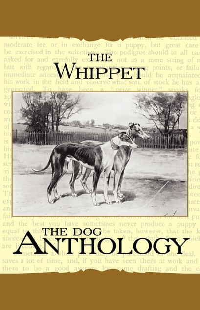 The Whippet - A Dog Anthology (A Vintage Dog Books Breed Classic) The Whippet - A Dog Anthology (A Vintage Dog Books Breed Classic)