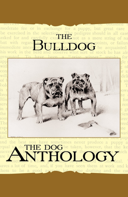 The Bulldog - A Dog Anthology (A Vintage Dog Books Breed Classic) The Bulldog - A Dog Anthology (A Vintage Dog Books Breed Classic)