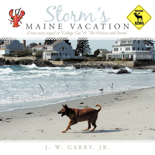 STORM'S MAINE VACATION STORM'S MAINE VACATION