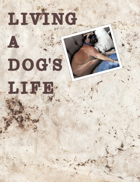 Living A Dog's Life Living A Dog's Life