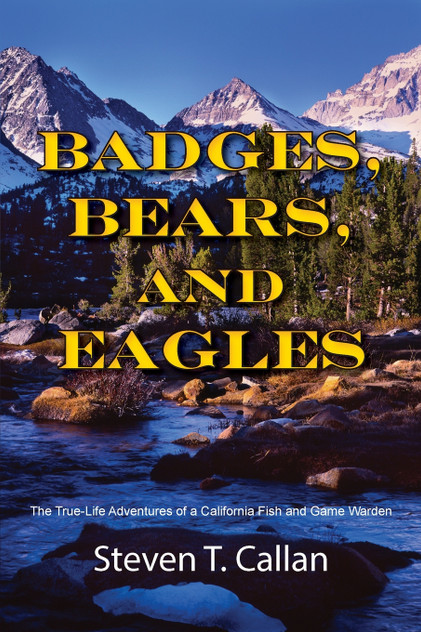 Badges, Bears, and Eagles Badges, Bears, and Eagles