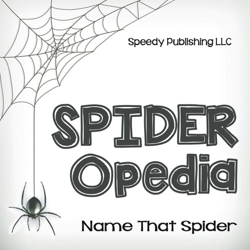 Spider-Opedia Name That Spider Spider-Opedia Name That Spider