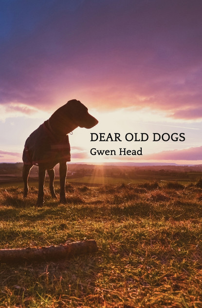 Dear Old Dogs Dear Old Dogs