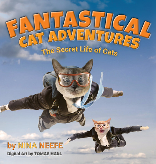 Fantastical Cat Adventures