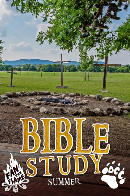 Bible Study Bible Study