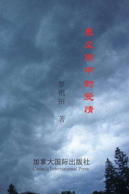 暴风雨中的爱情 暴风雨中的爱情