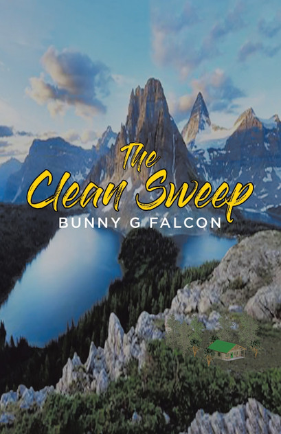The Clean Sweep The Clean Sweep