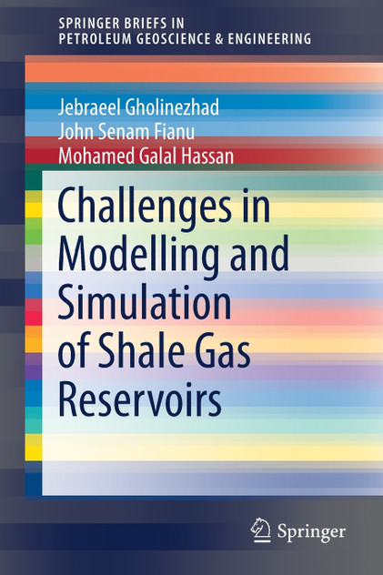Challenges in Modelling and Simulation of Shale Gas Reservoirs