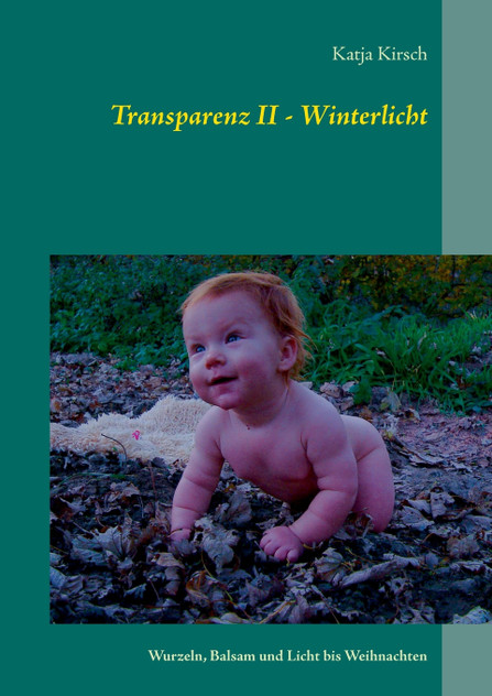 Transparenz II - Winterlicht Transparenz II - Winterlicht