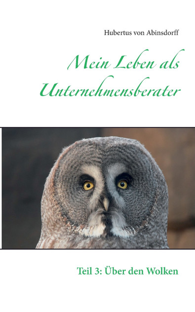 Mein Leben als Unternehmensberater Mein Leben als Unternehmensberater