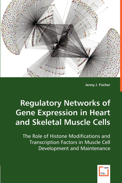 Regulatory Networks of Gene Expression in Heart and Skeletal Muscle Cells Regulatory Networks of Gene Expression in Heart and Skeletal Muscle Cells