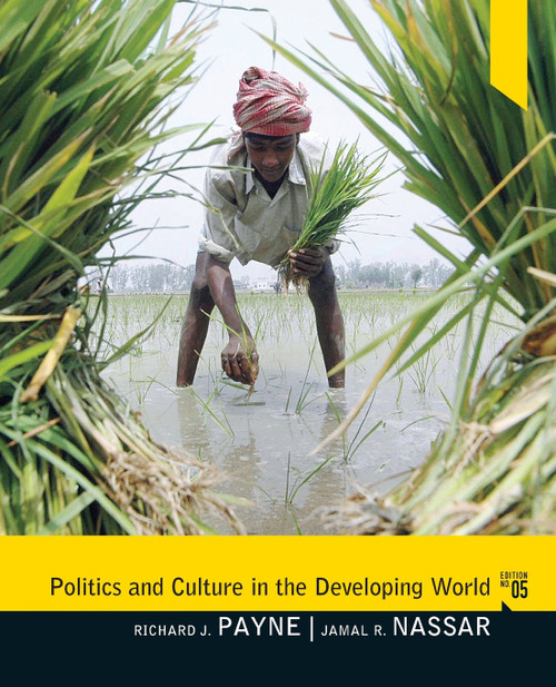 Politics and Culture in the Developing World Politics and Culture in the Developing World