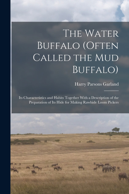The Water Buffalo (Often Called the Mud Buffalo) The Water Buffalo (Often Called the Mud Buffalo)