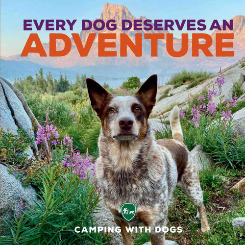 Every Dog Deserves an Adventure Every Dog Deserves an Adventure