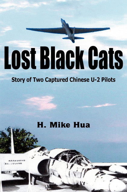 Lost Black Cats Lost Black Cats