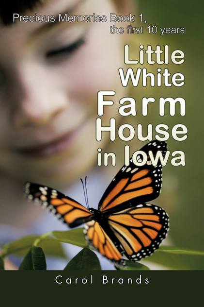 Little White Farm House in Iowa Little White Farm House in Iowa