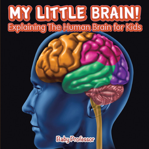 My Little Brain! - Explaining The Human Brain for Kids My Little Brain! - Explaining The Human Brain for Kids