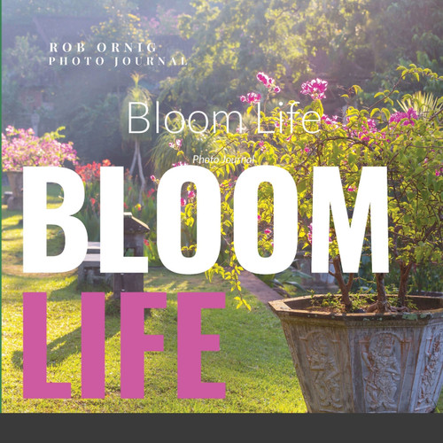 Bloom Life Bloom Life
