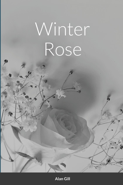 Winter Rose Winter Rose