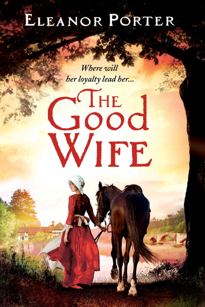 The Good Wife The Good Wife