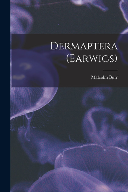 Dermaptera (Earwigs) Dermaptera (Earwigs)