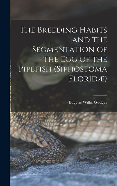 The Breeding Habits and the Segmentation of the egg of the Pipefish (Siphostoma Floridæ)