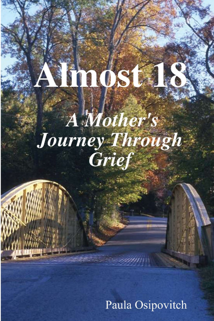 Almost 18 " A Mother's Journey Through Grief " Almost 18 " A Mother's Journey Through Grief "