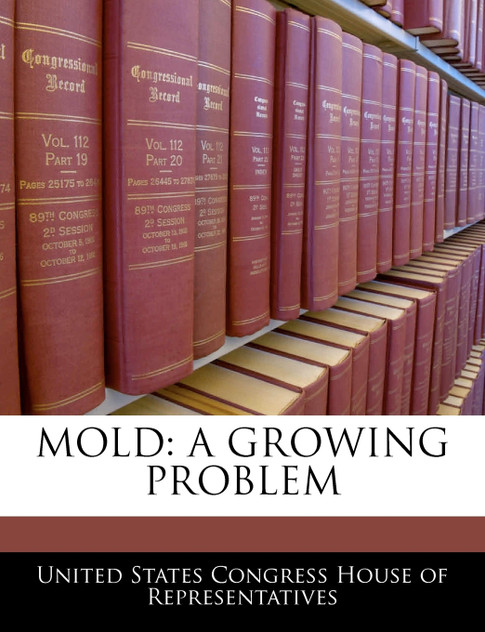 Mold Mold