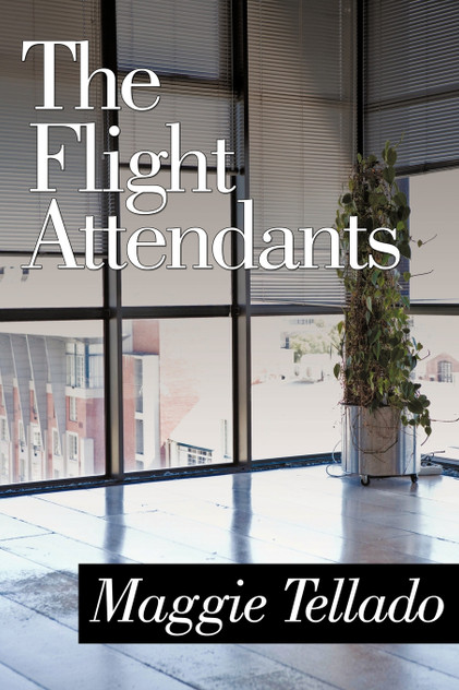 The Flight Attendants The Flight Attendants
