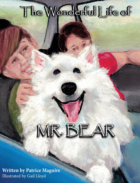 The Wonderful Life of Mr. Bear The Wonderful Life of Mr. Bear
