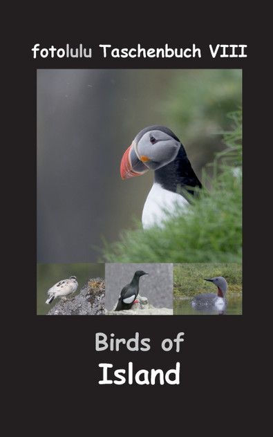 Birds of Island Birds of Island