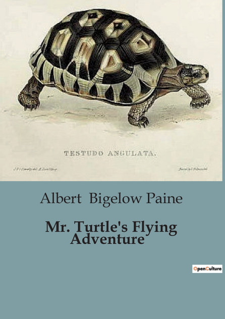 Mr. Turtle's Flying Adventure Mr. Turtle's Flying Adventure