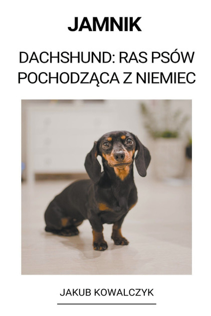 Jamnik  (Dachshund