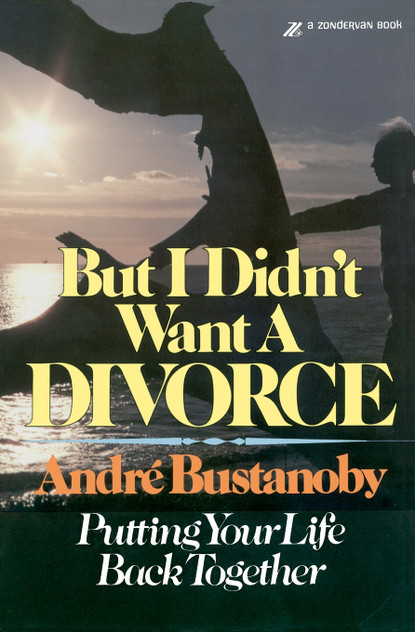But I Didn't Want a Divorce But I Didn't Want a Divorce
