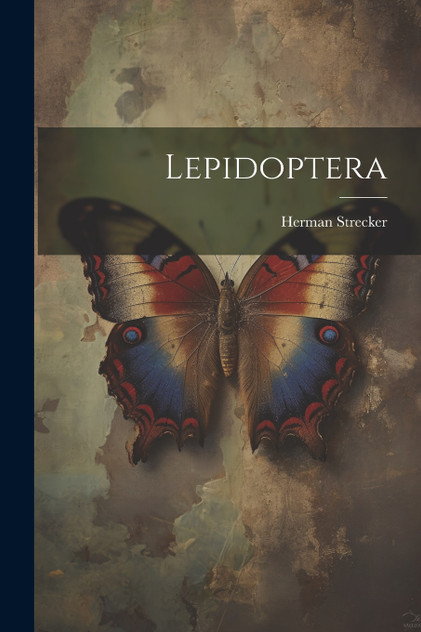 Lepidoptera Lepidoptera
