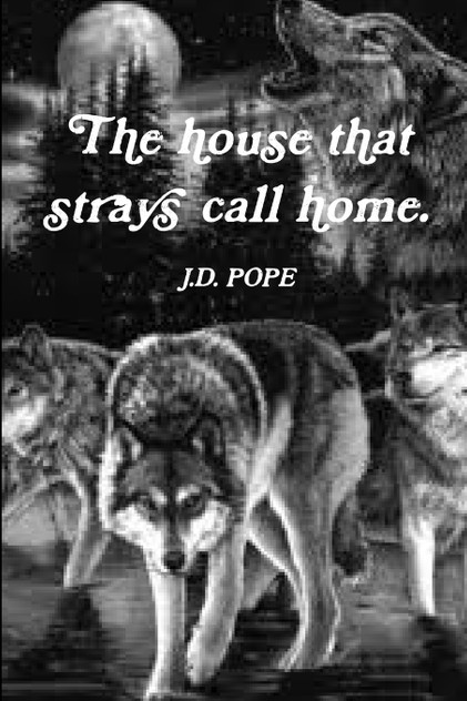 The house that strays call home.