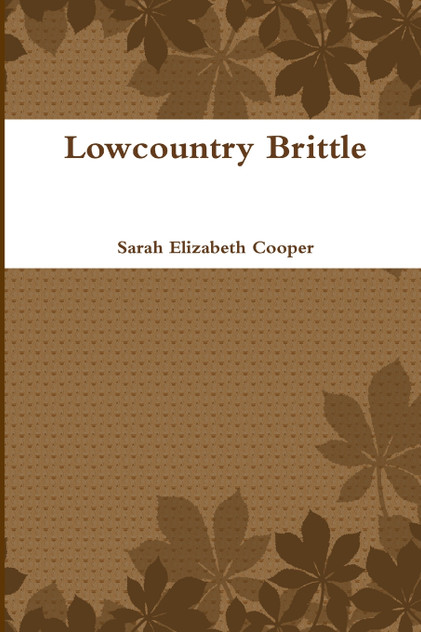 Lowcountry Brittle Lowcountry Brittle